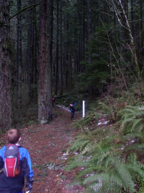 12.23.05 Elowah Falls 007 